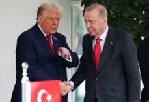 Emperyalizmin Kapısında Meşruiyet Dilenmenin Utancı: Trump’ın “Turkey” Hakareti ve Uşaklığın Siyaseti