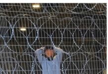 İsrail’in korkunç hapishanesi… Dirilerin mezarlığından kurtulanların tanıklıkları