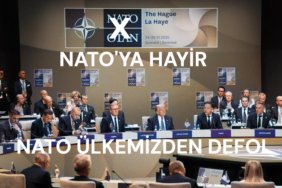 Natodefol