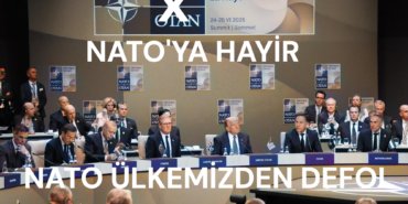 Natodefol