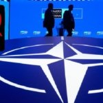 nato-1 arzu torun