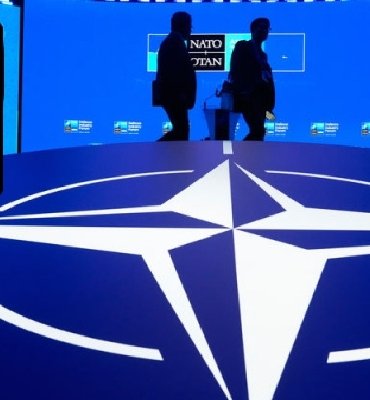 nato-1 arzu torun